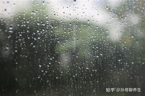 墙壁有水气|房子里面湿气太重是什么原因？